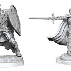 D&DNMUM Death Knights W20