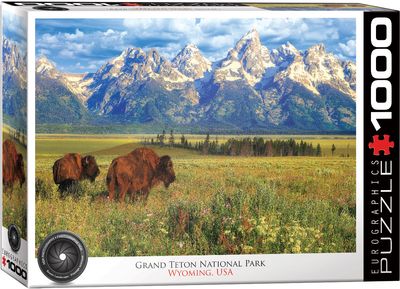 Grand Teton National Park 1000pc