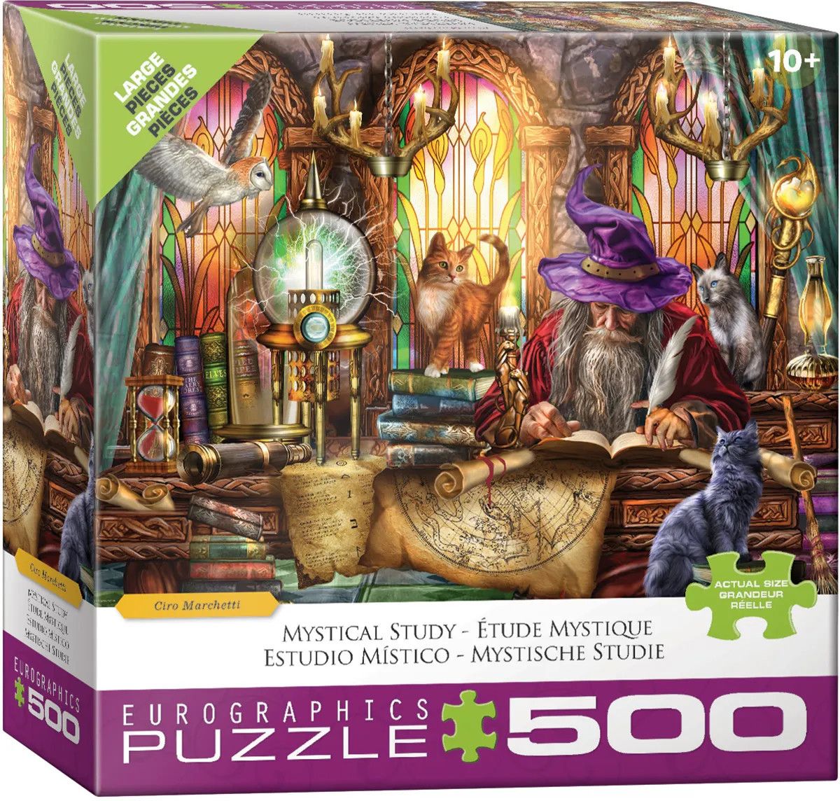 Mystical Study 500pc