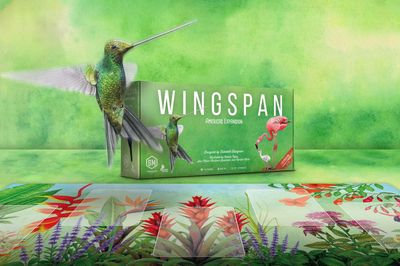 Wingspan Americas Wingspan Americas