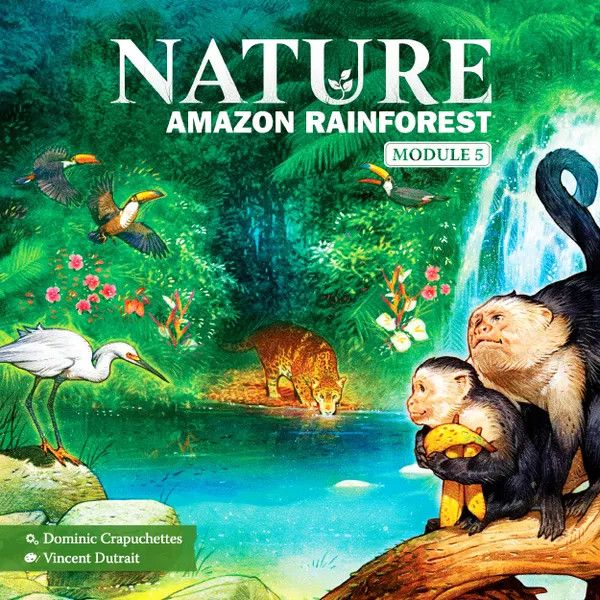 Nature Amazon Rainforest Module Expansion Nature Amazon Rainforest Module Expansion