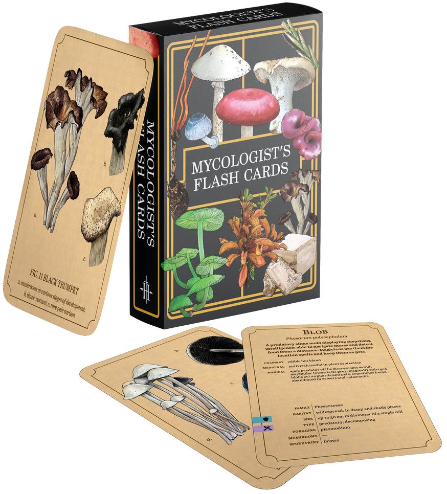Mycologist's Primer Flash Cards