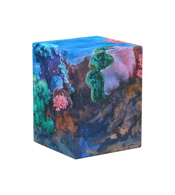 Boulder 100+ Coral Places Coralline Eden