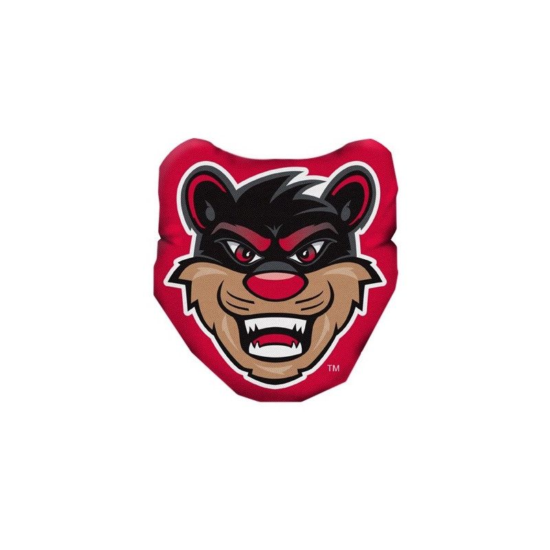 Cincinnati Bearcats Cathead Pillow