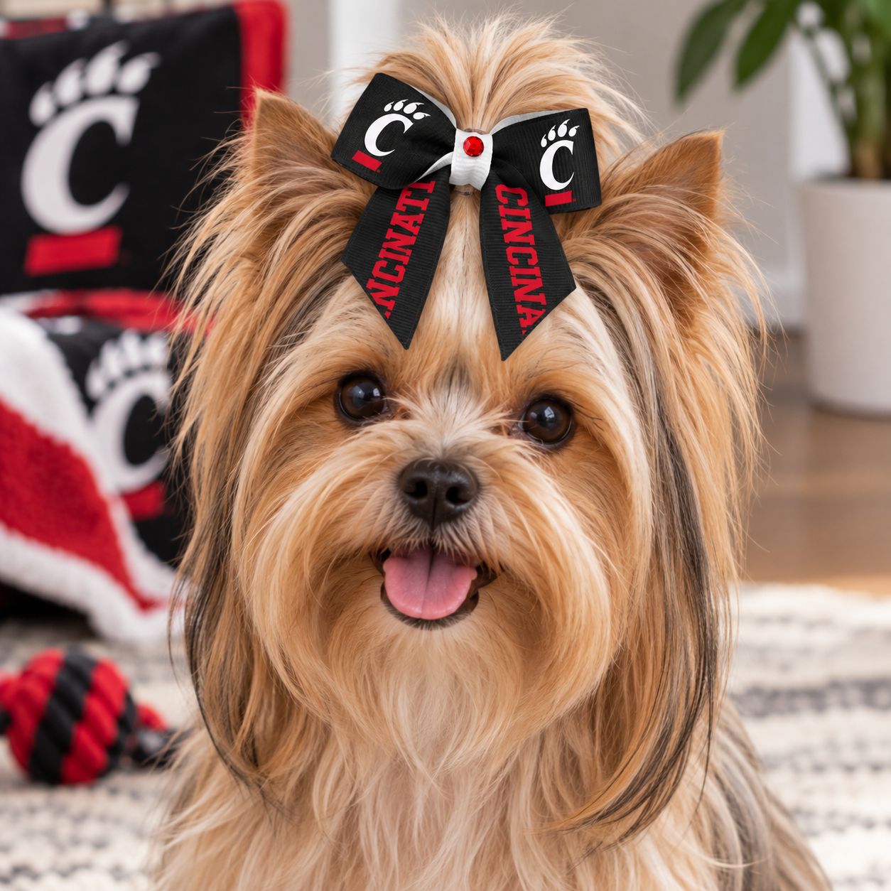 University of Cincinnati Bearcats C-Paw Hair Bow