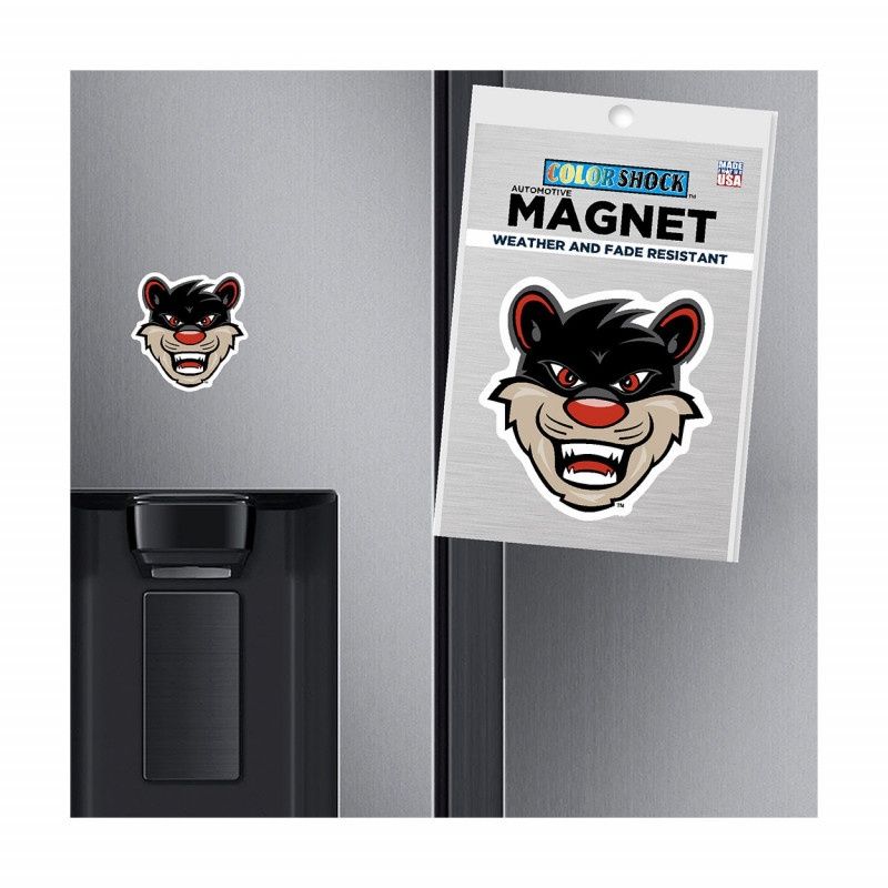 ColorShock Cincinnati Bearcat Head Mini Auto Magnet