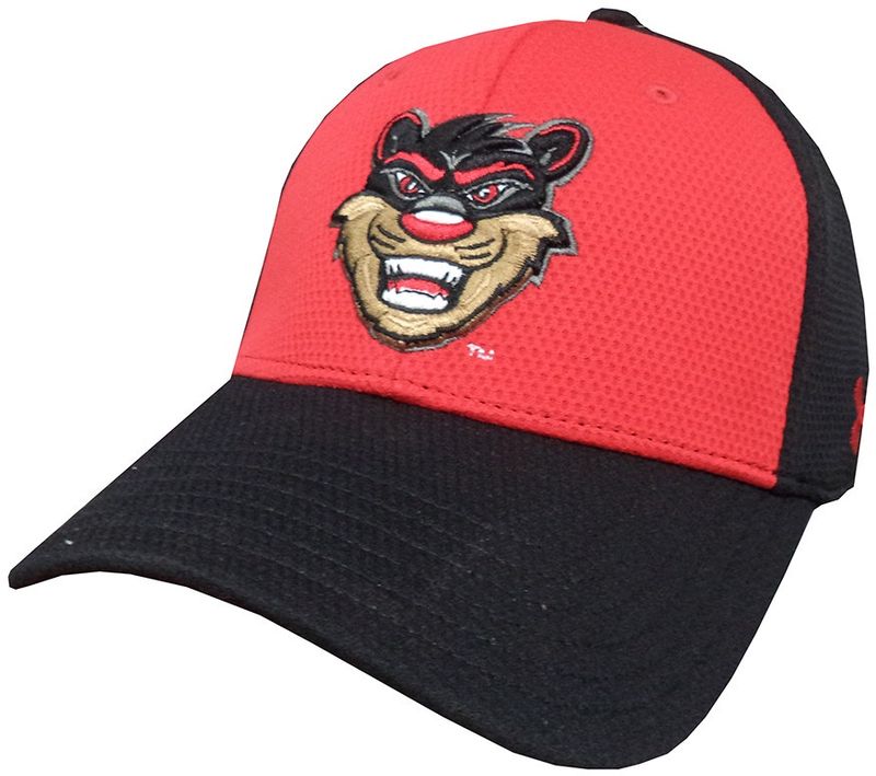Under Armour Cincinnati Bearcats Baseball Cap