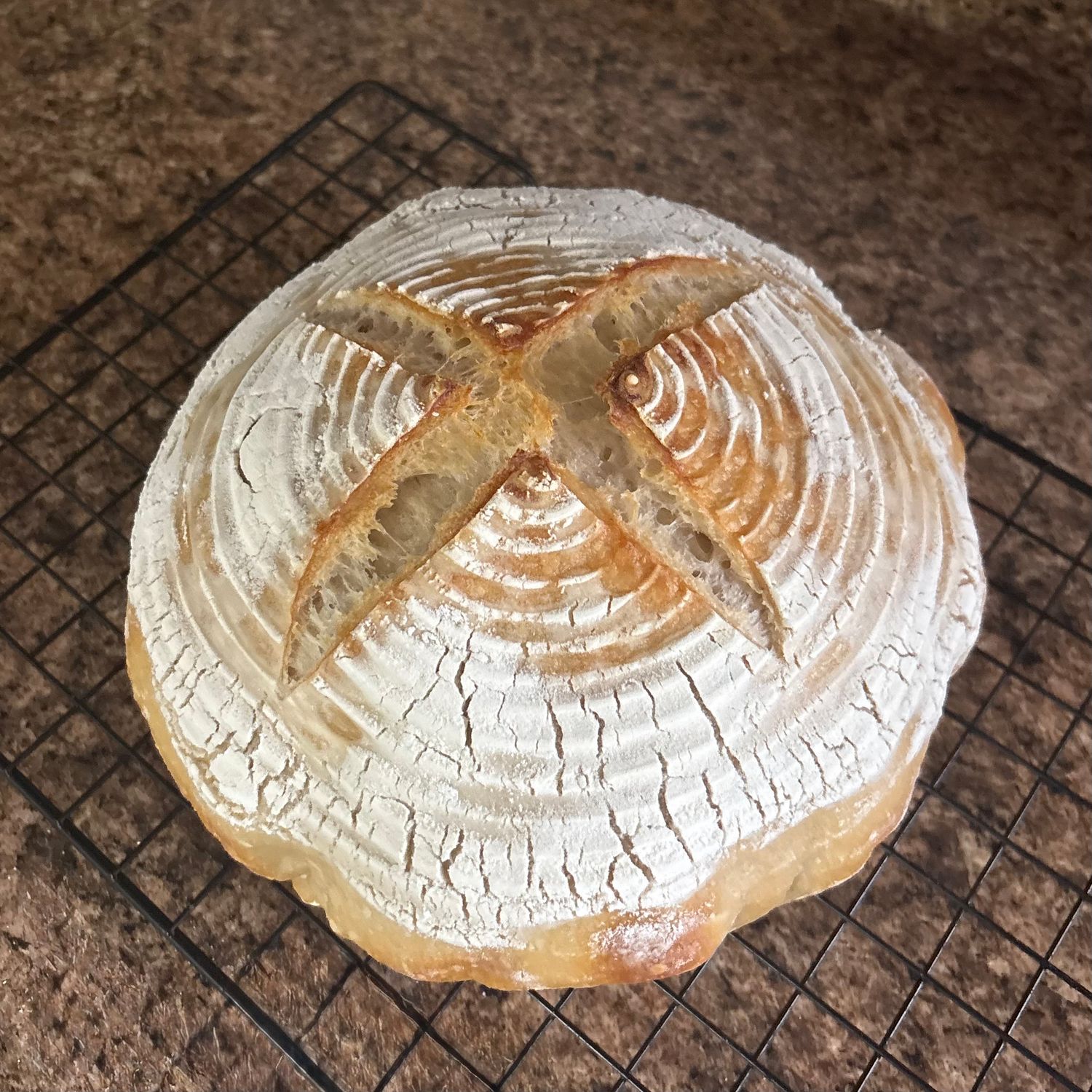 Sourdough Bread Full Loaf