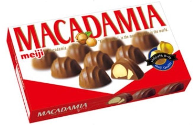 Macadamia Chocolate