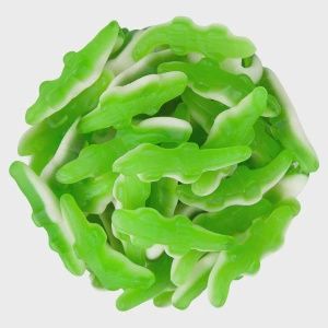 BULK- GUMMY CROCODILE-HATCHLINGS