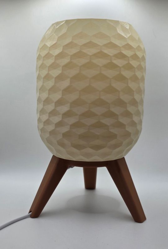 Modern Style Lamp #1