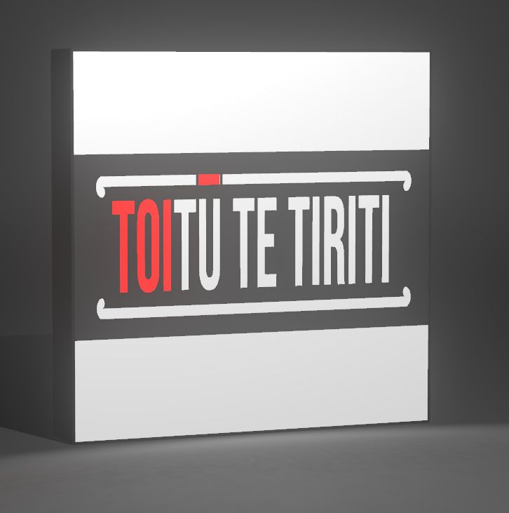 Toitū Te Tiriti Light Box