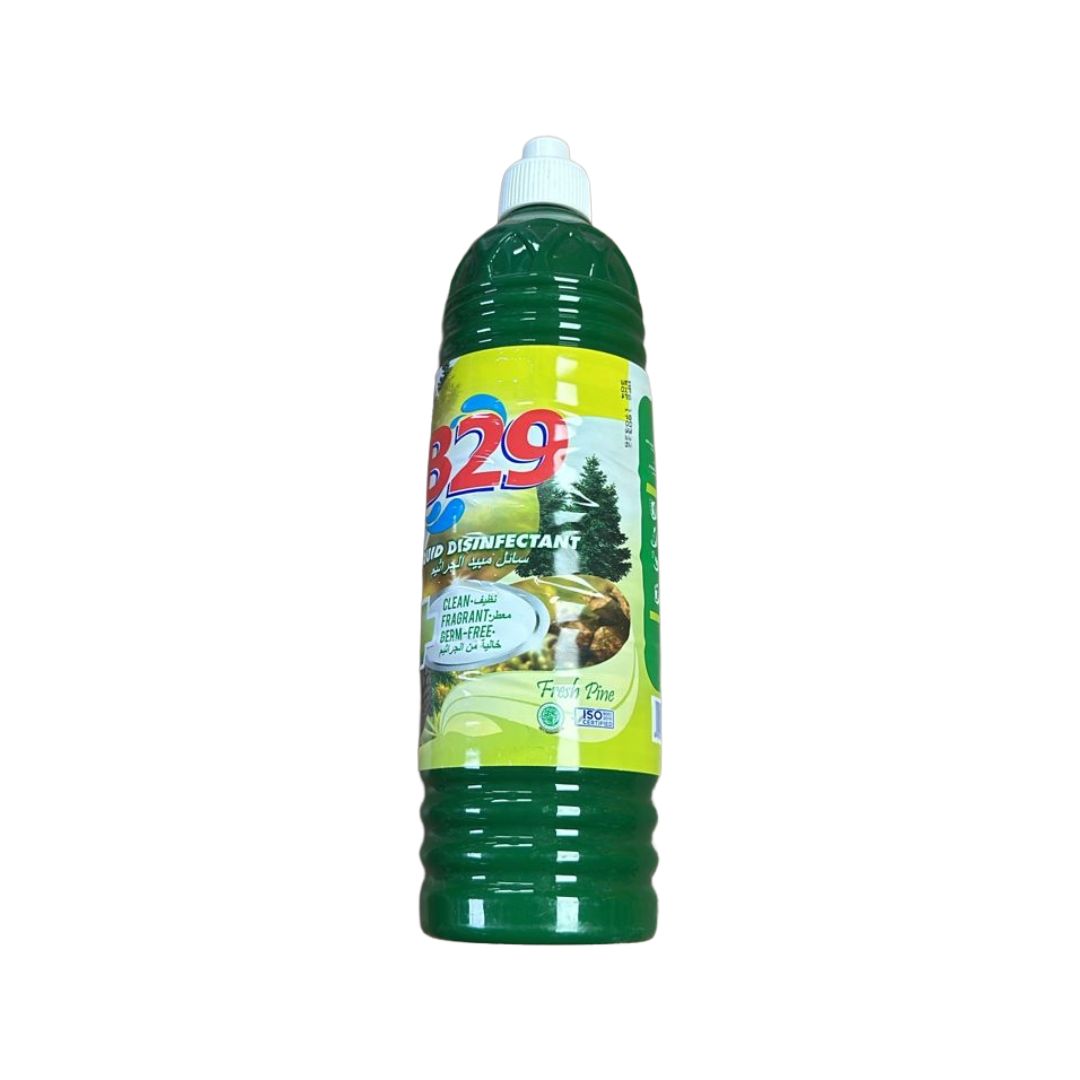 B29 LQUID DISINFECTANT 800X6