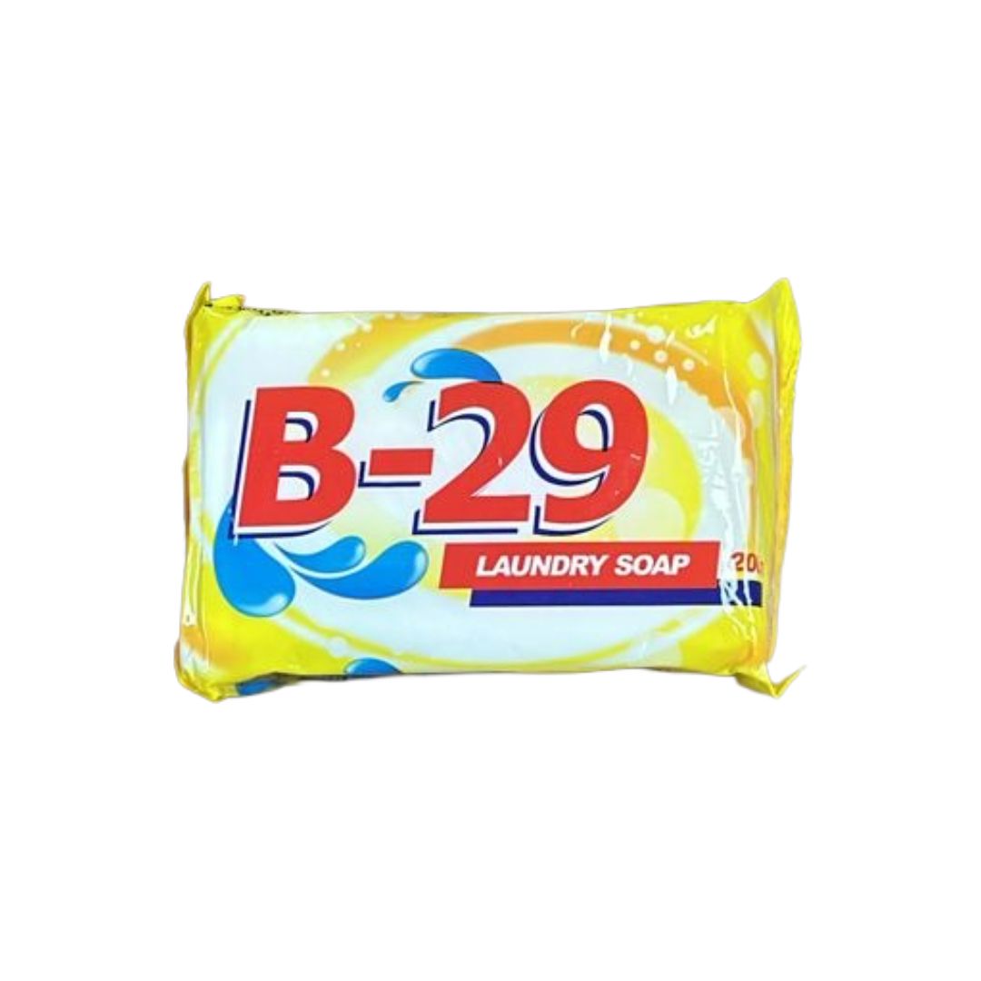 B29 SAVON LESSIVE 200GX60PCS