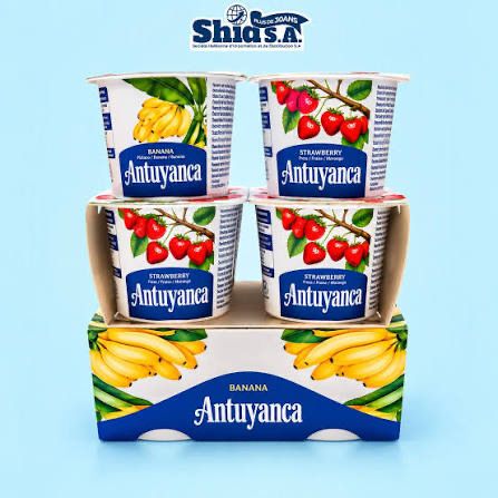 YOUGURT ANTUYANCA  24x100g