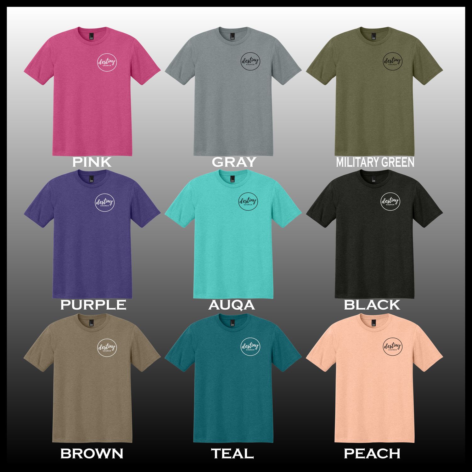 Destiny Circle Logo Tri-Blend T-Shirt