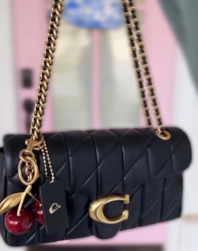 Tabby 20 Purse