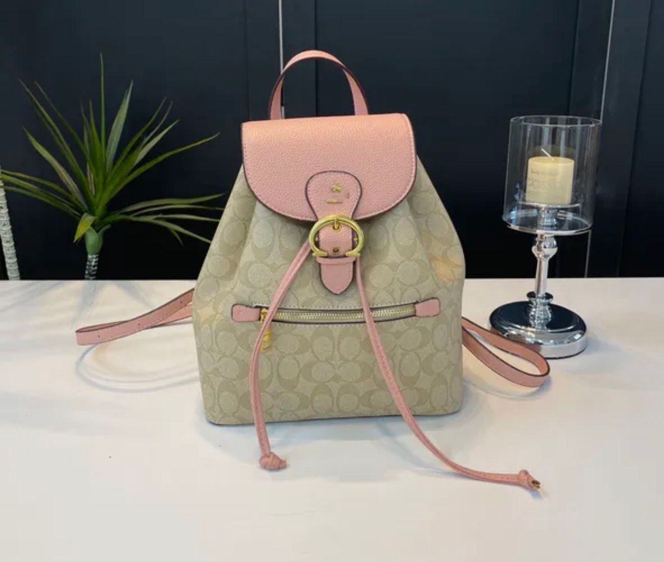The Back Pack