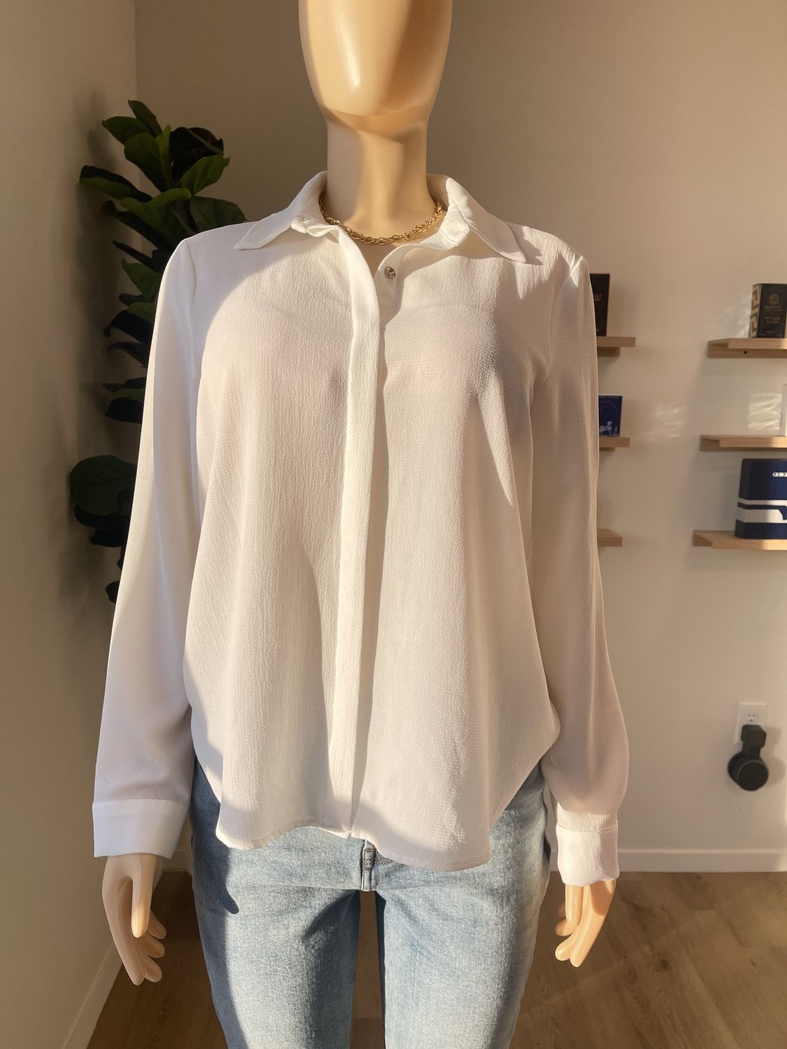 long sleeve chiffon blouse