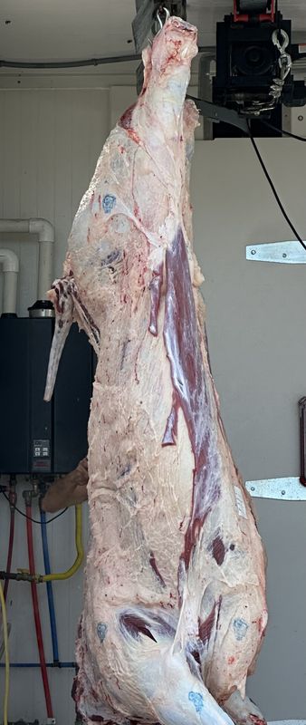 1 Half Beef (Pre-Order February 2027)