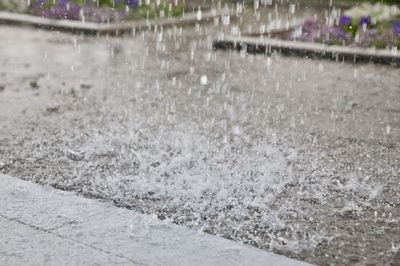 Wateroverlast en de verzekering