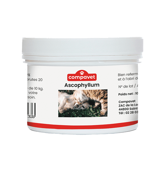 Ascophyllum - Pot 100 g