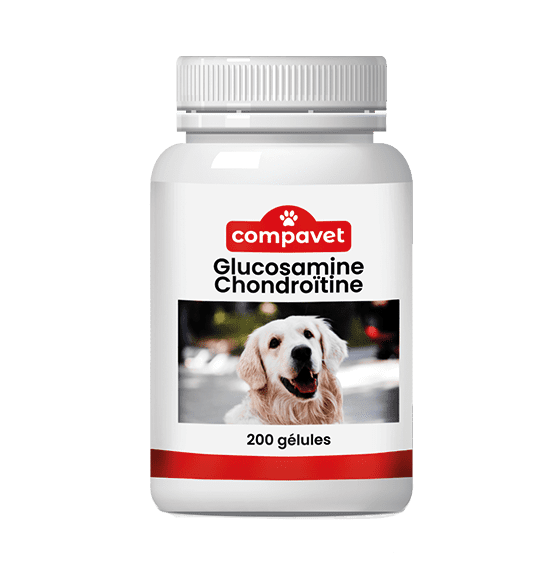 Glucosamine Chondroïtine - 200 gélules