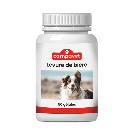 Levure de bière - 50 gélules
