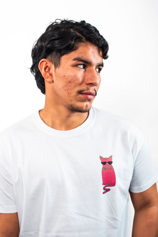 The pink cat
