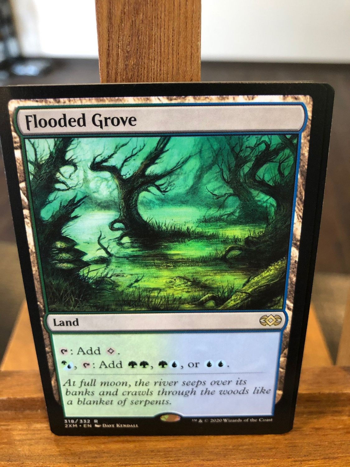 Flooded Grove  (2XM)