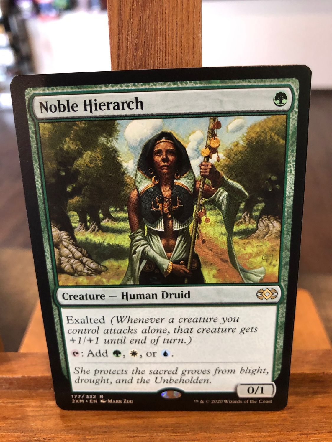 Noble Hierarch  (2XM)