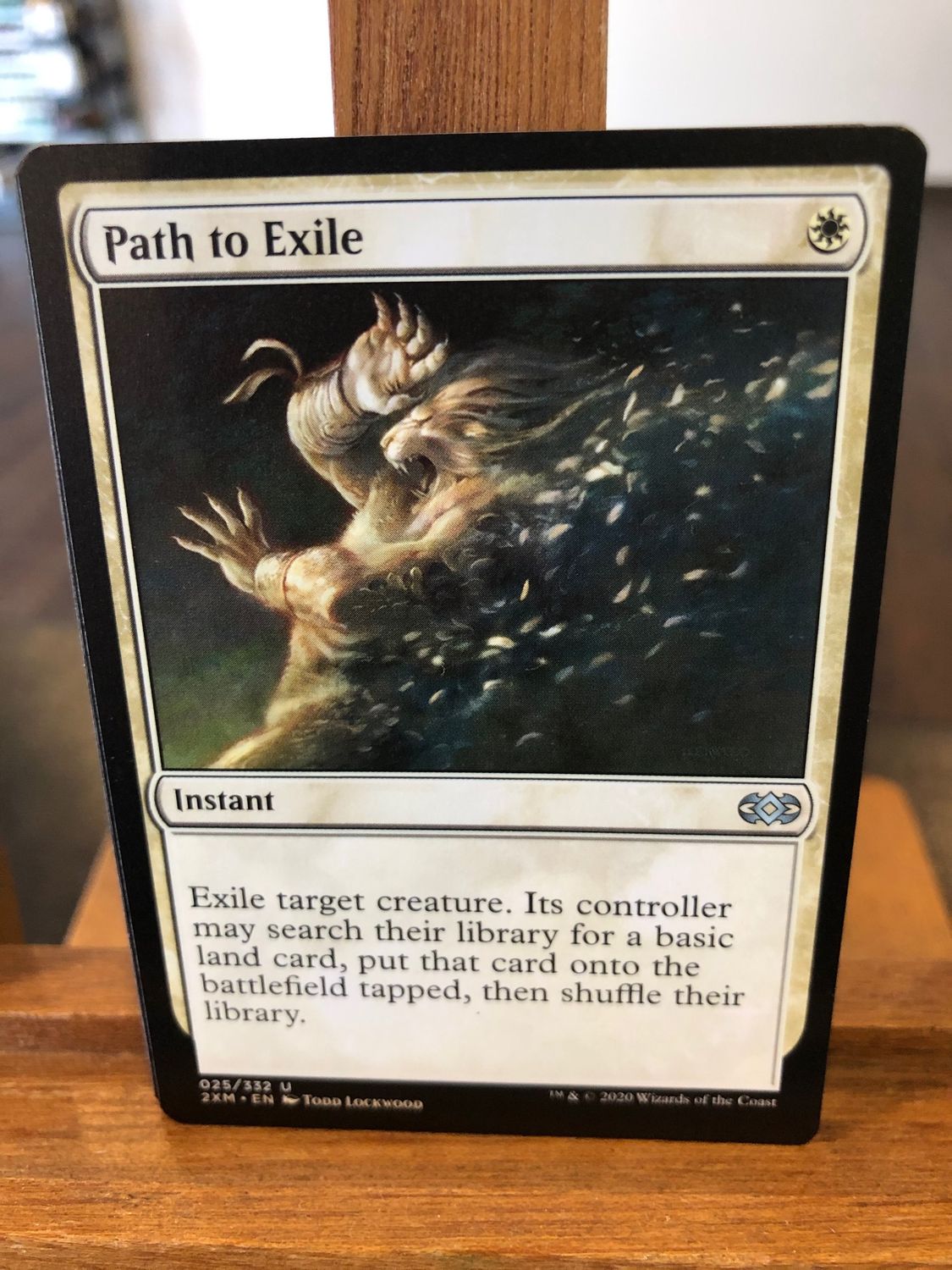 Path to Exile  (2XM)