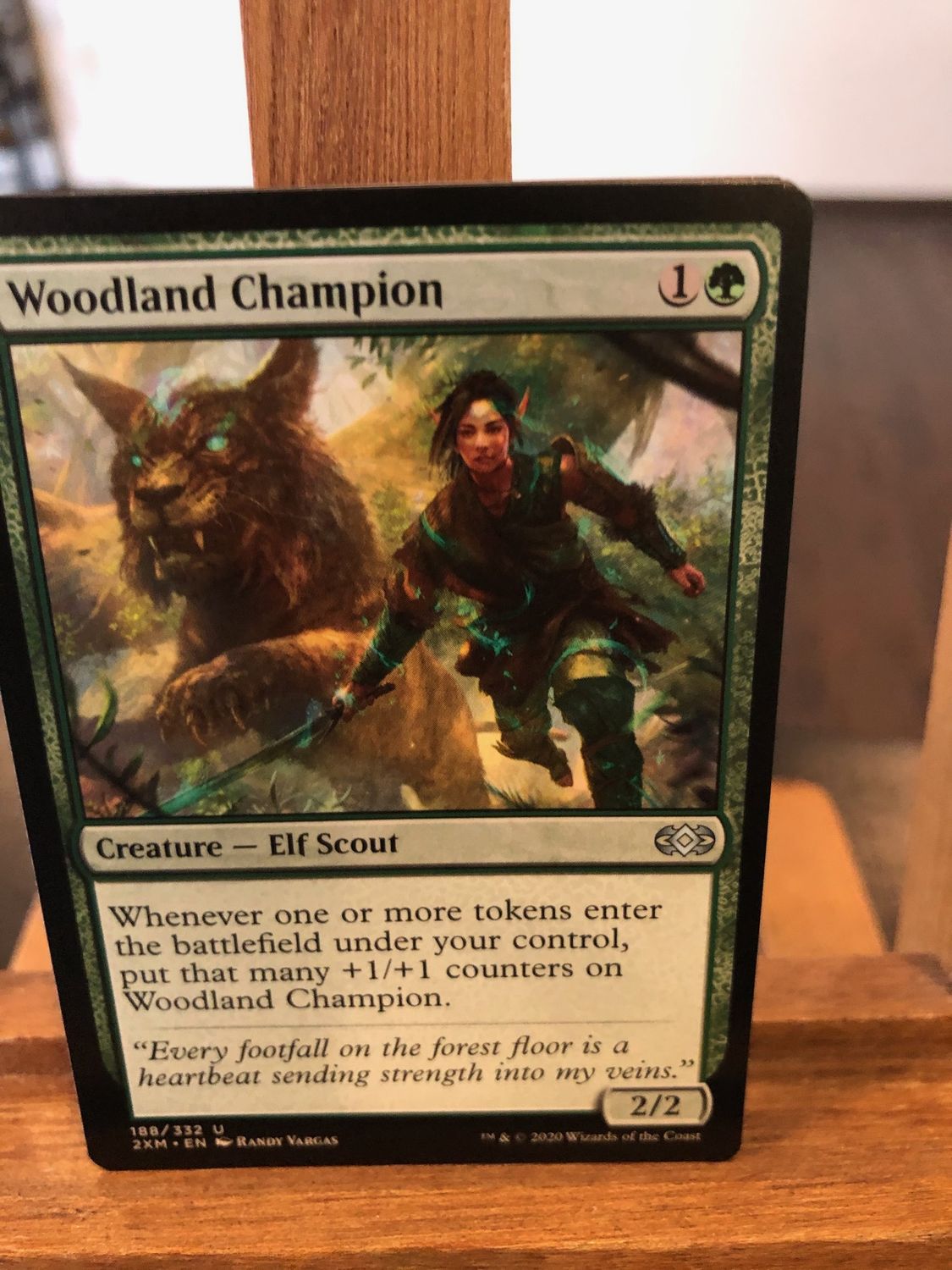 Woodland Champion  (2XM)