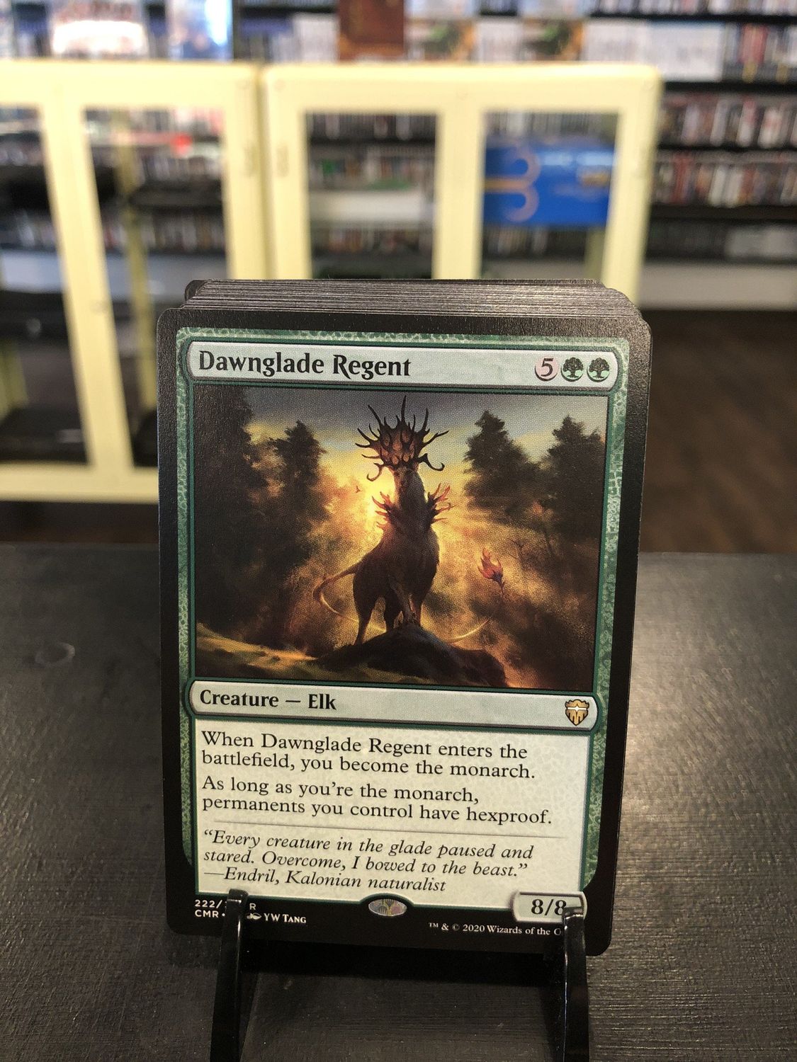 Dawnglade Regent  (CMR)