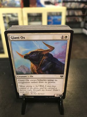 Giant Ox  (KHM)