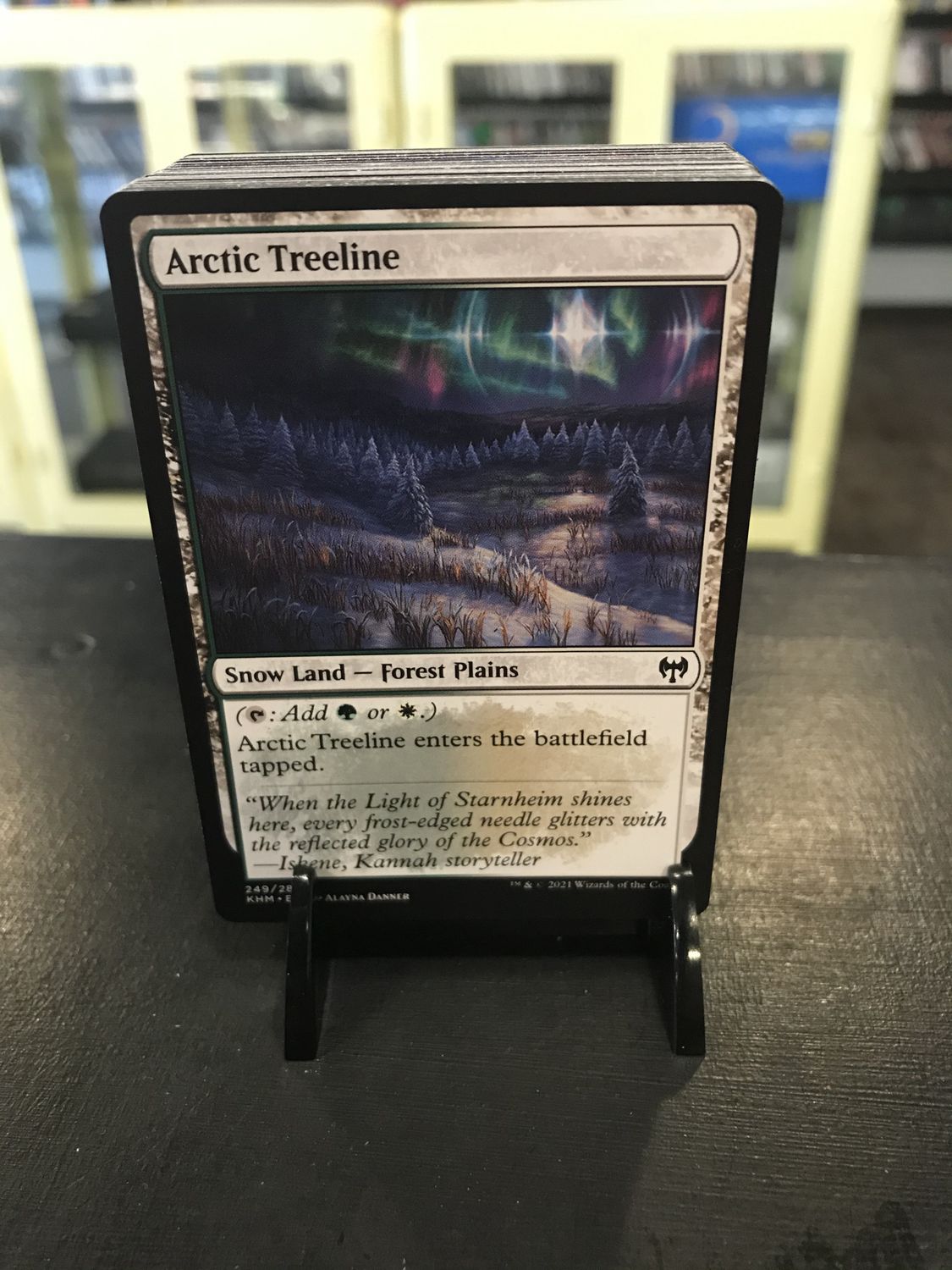 Arctic Treeline  (KHM)