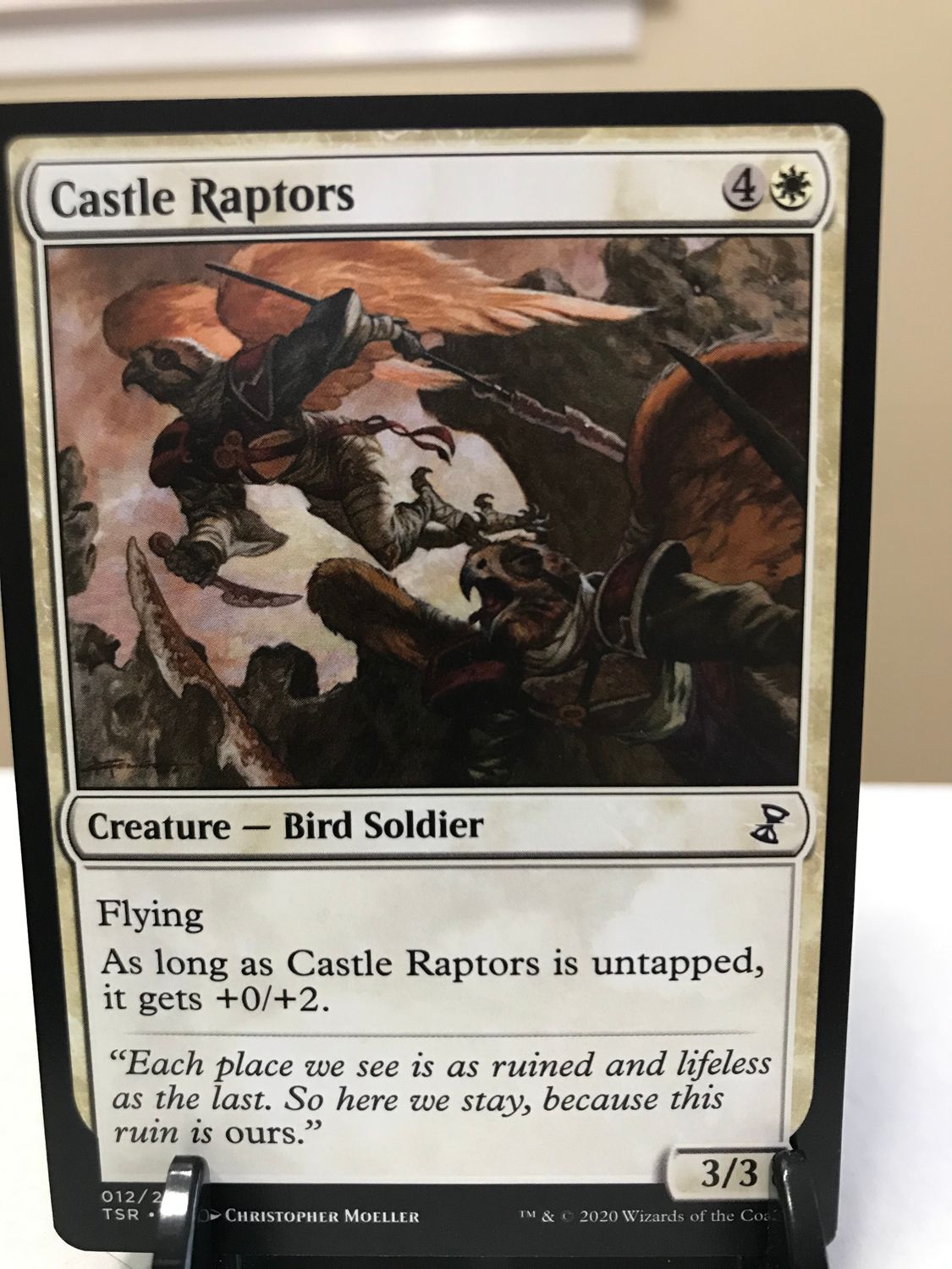 Castle Raptors  (TSR)