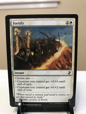 Fortify  (TSR)