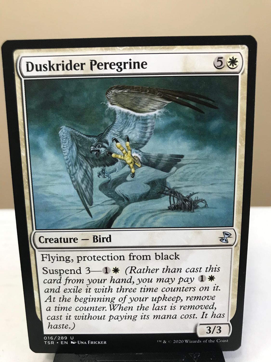 Duskrider Peregrine  (TSR)