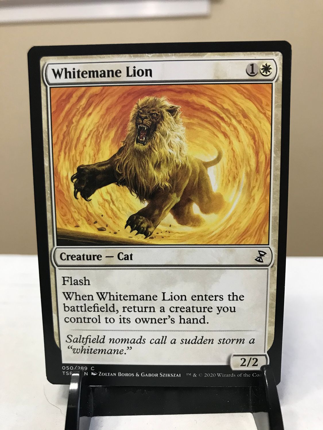 Whitemane Lion  (TSR)