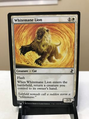 Whitemane Lion  (TSR)