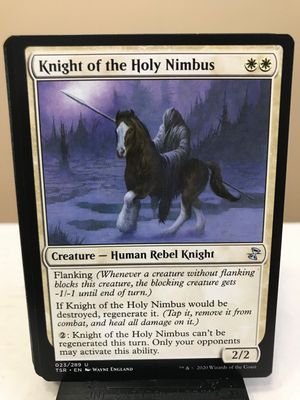 Knight of the Holy Nimbus  (TSR)