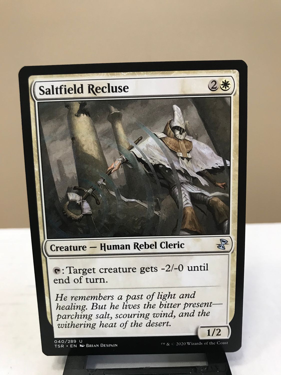 Saltfield Recluse  (TSR)