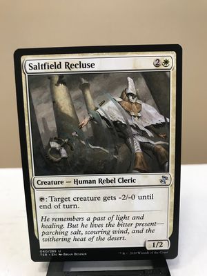 Saltfield Recluse  (TSR)