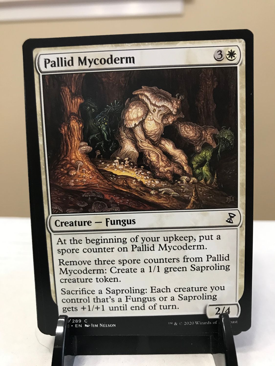 Pallid Mycoderm  (TSR)