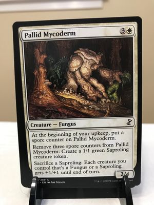 Pallid Mycoderm  (TSR)