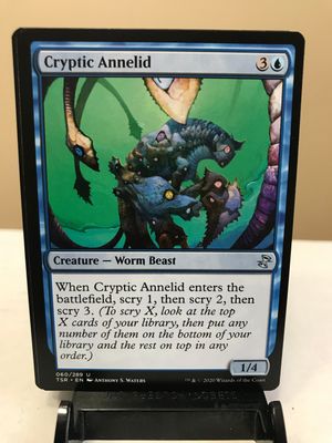 Cryptic Annelid  (TSR)