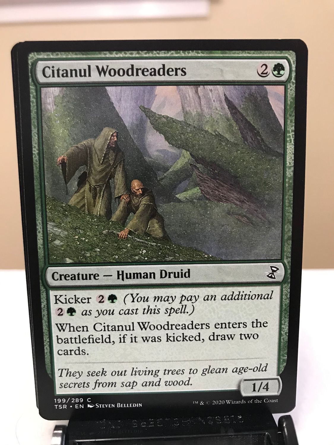 Citanul Woodreaders  (TSR)