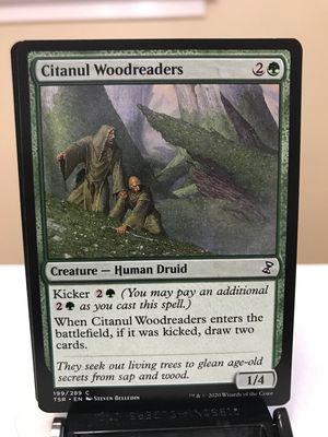 Citanul Woodreaders  (TSR)