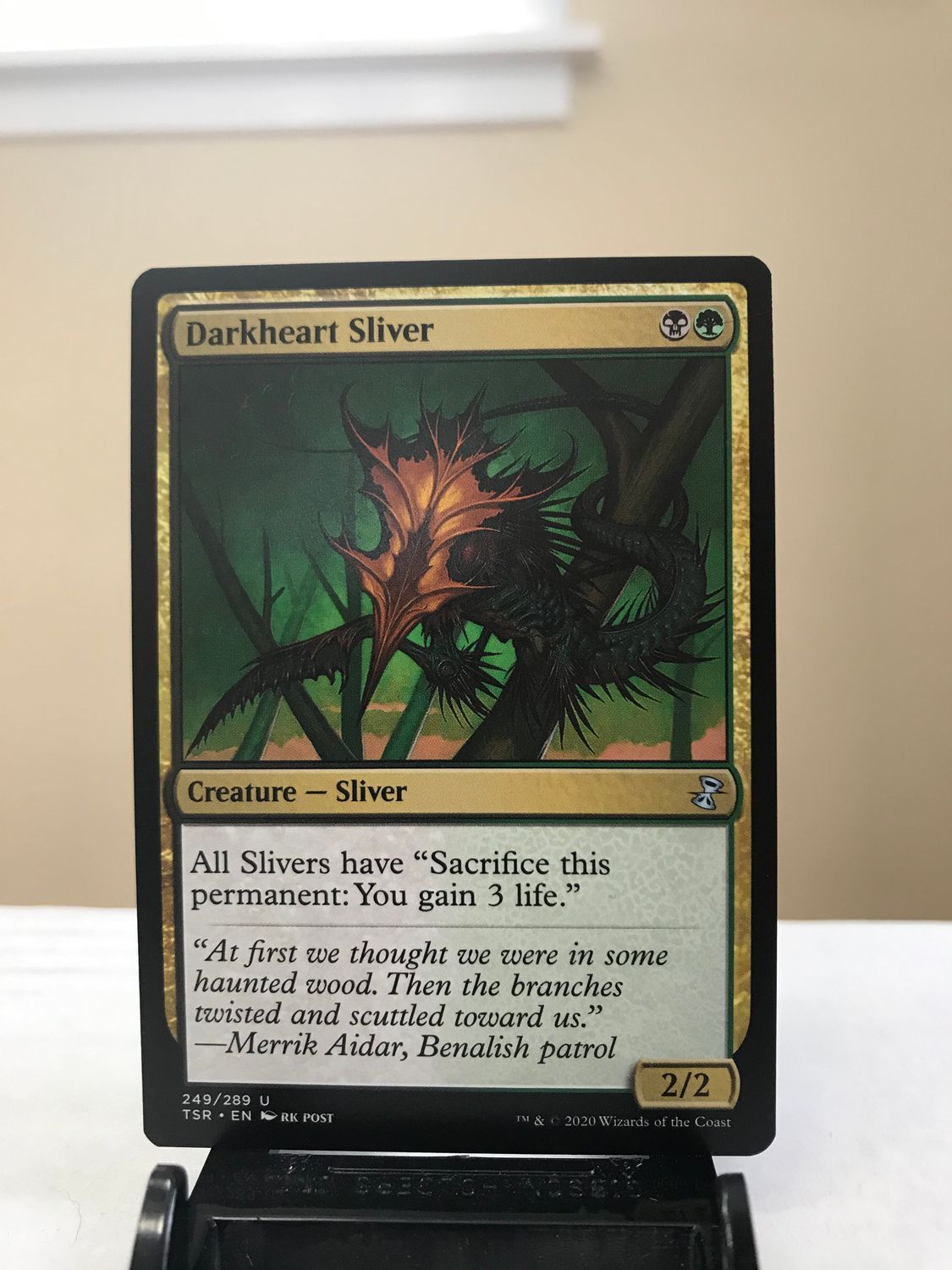 Darkheart Sliver  (TSR)